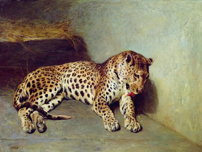 Il leopardo da John Sargent Noble